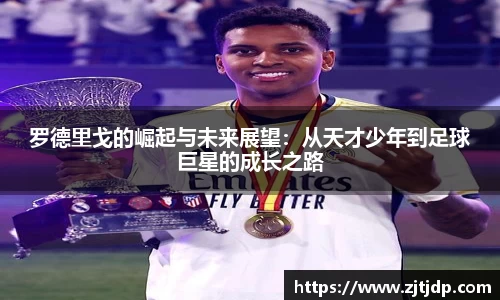 BoB半岛·体育中国官方网站